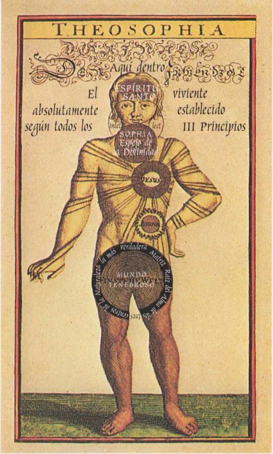 Used in Gichtel Pranchas