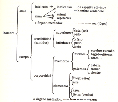 Used in Filon Alma Corpo